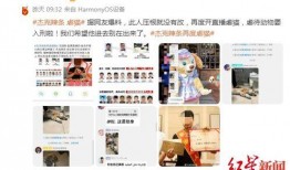 辣条新闻爆料视频大全播放,揭秘行业内幕，带你走进辣条世界